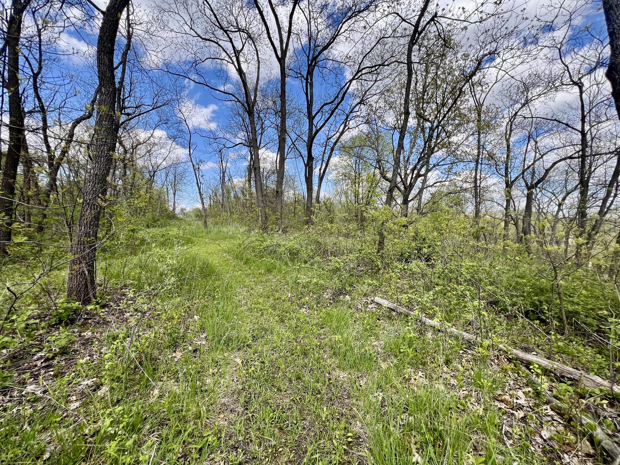 13287 Eagles View Road Freeman, WI 54628 - Photo 26 of 32 Trail 2