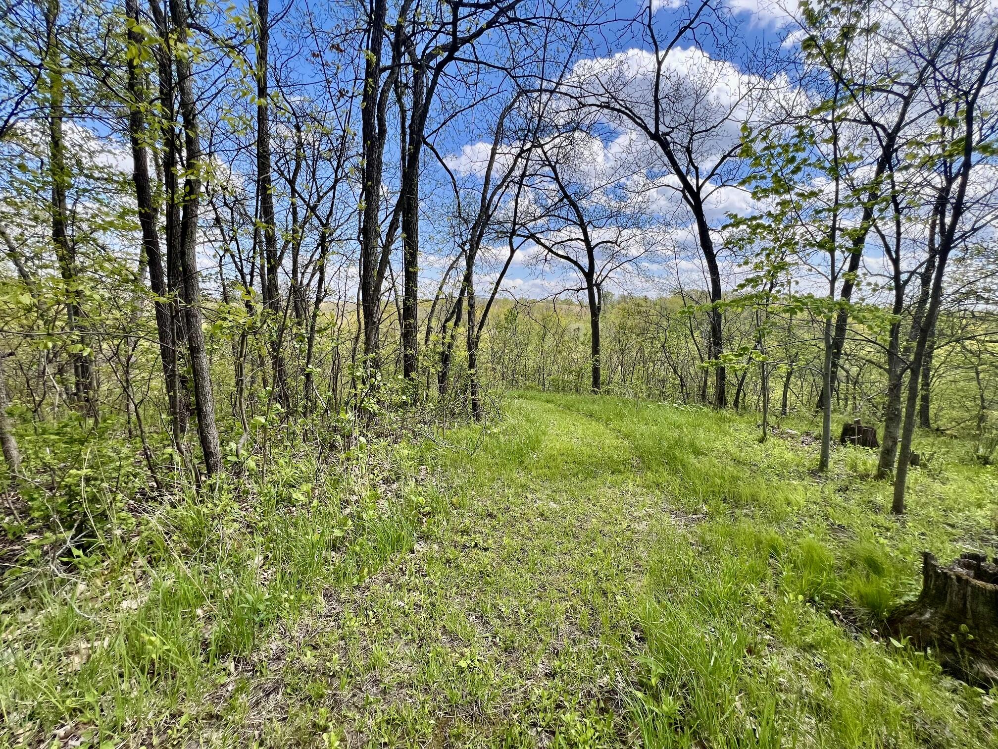 13287 Eagles View Road Freeman, WI 54628 - Photo 27 of 32 Trails