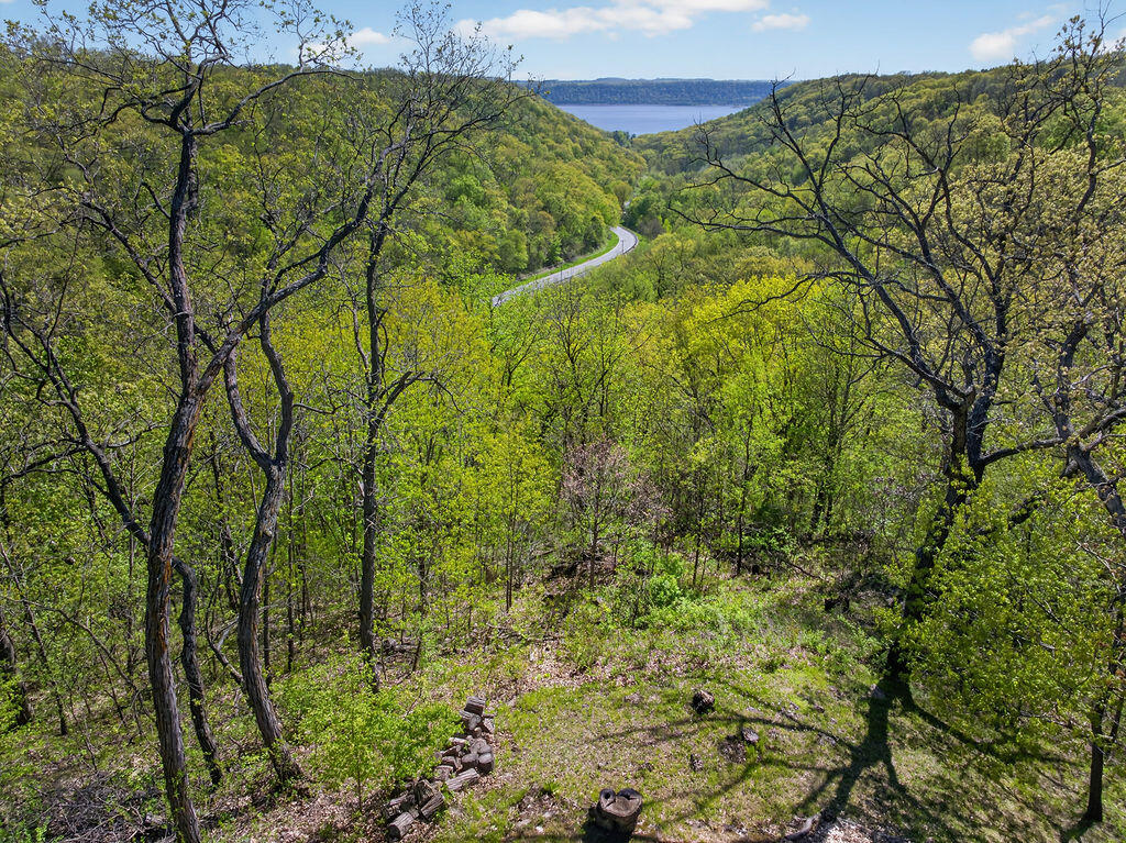 13287 Eagles View Road Freeman, WI 54628 - Photo 29 of 32 Land