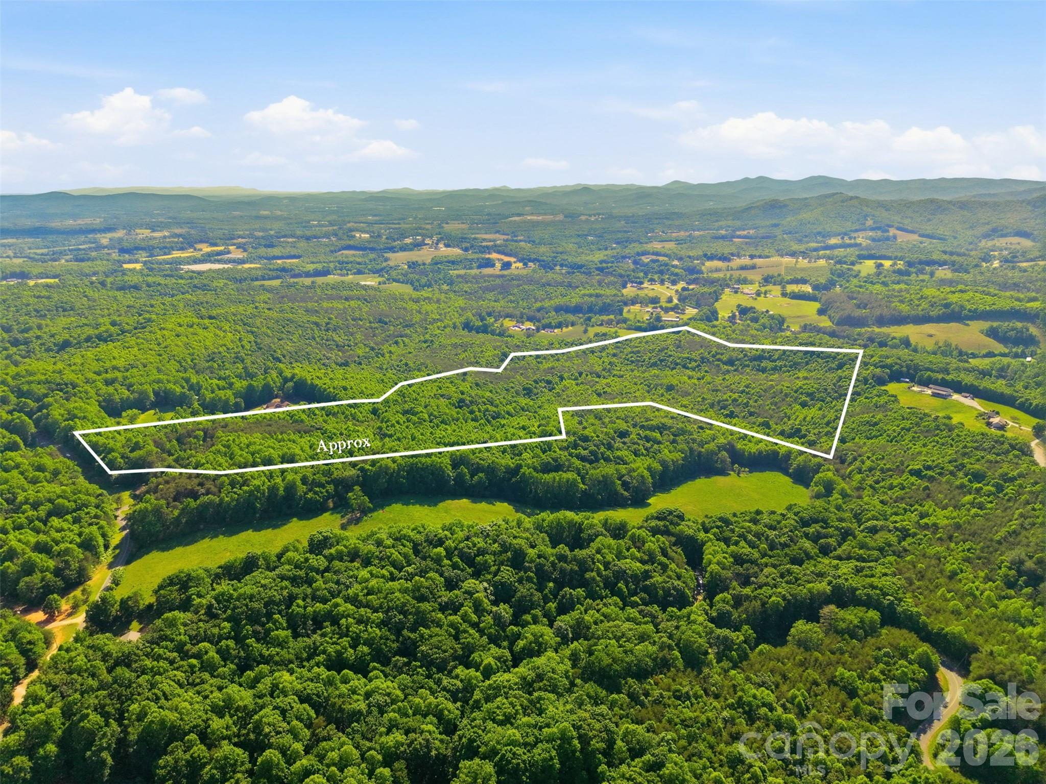 0 Black Oak Ridge Road Taylorsville, NC 28681 - Photo 8 of 11