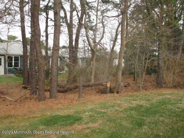 10 Abbey Road Brick, NJ 08723 - Photo 3 of 33 IMG_8510