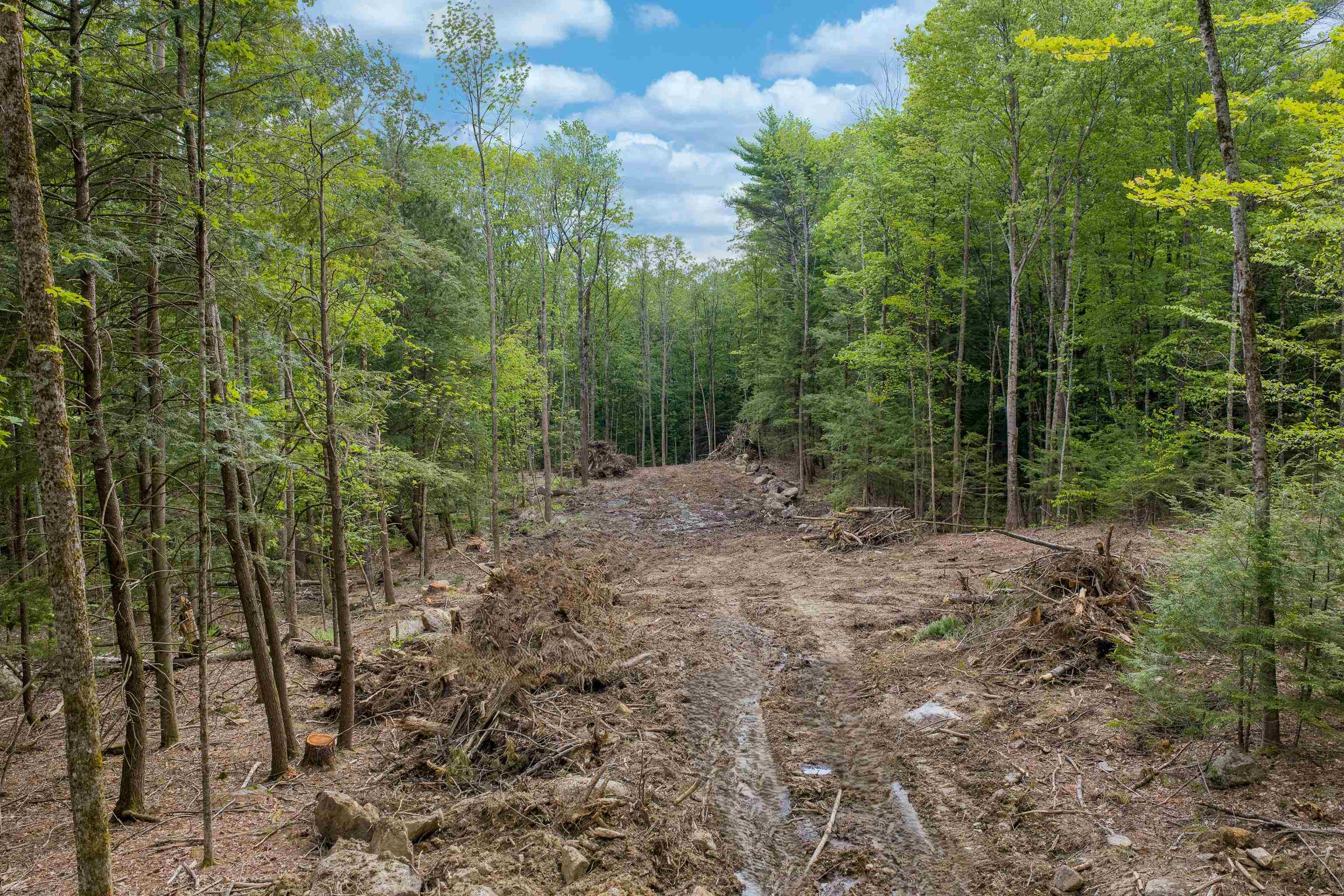 Lot 3 Winona Road Meredith, NH 03253 - Photo 5 of 18