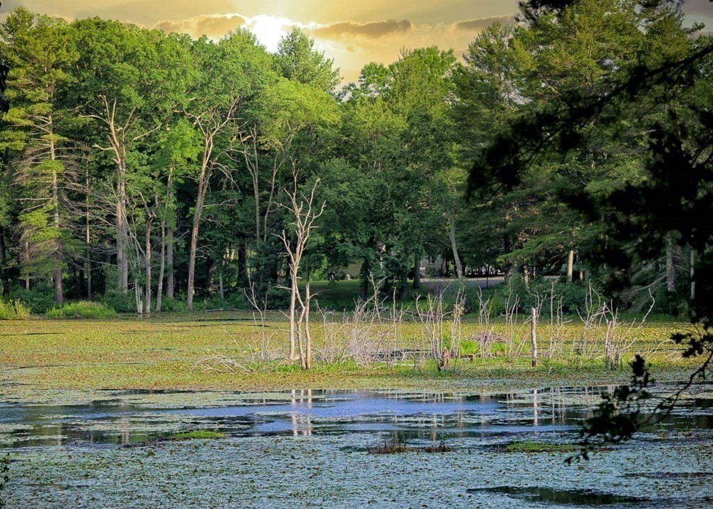 7 Cold Spring Brook Road Hopkinton, MA 01748 - Photo 39 of 39