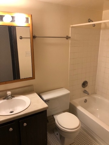2218 West Nichols Road, Unit C Arlington Heights, IL 60004 - Photo 8 of 10 a bathroom with a sink a toilet and shower