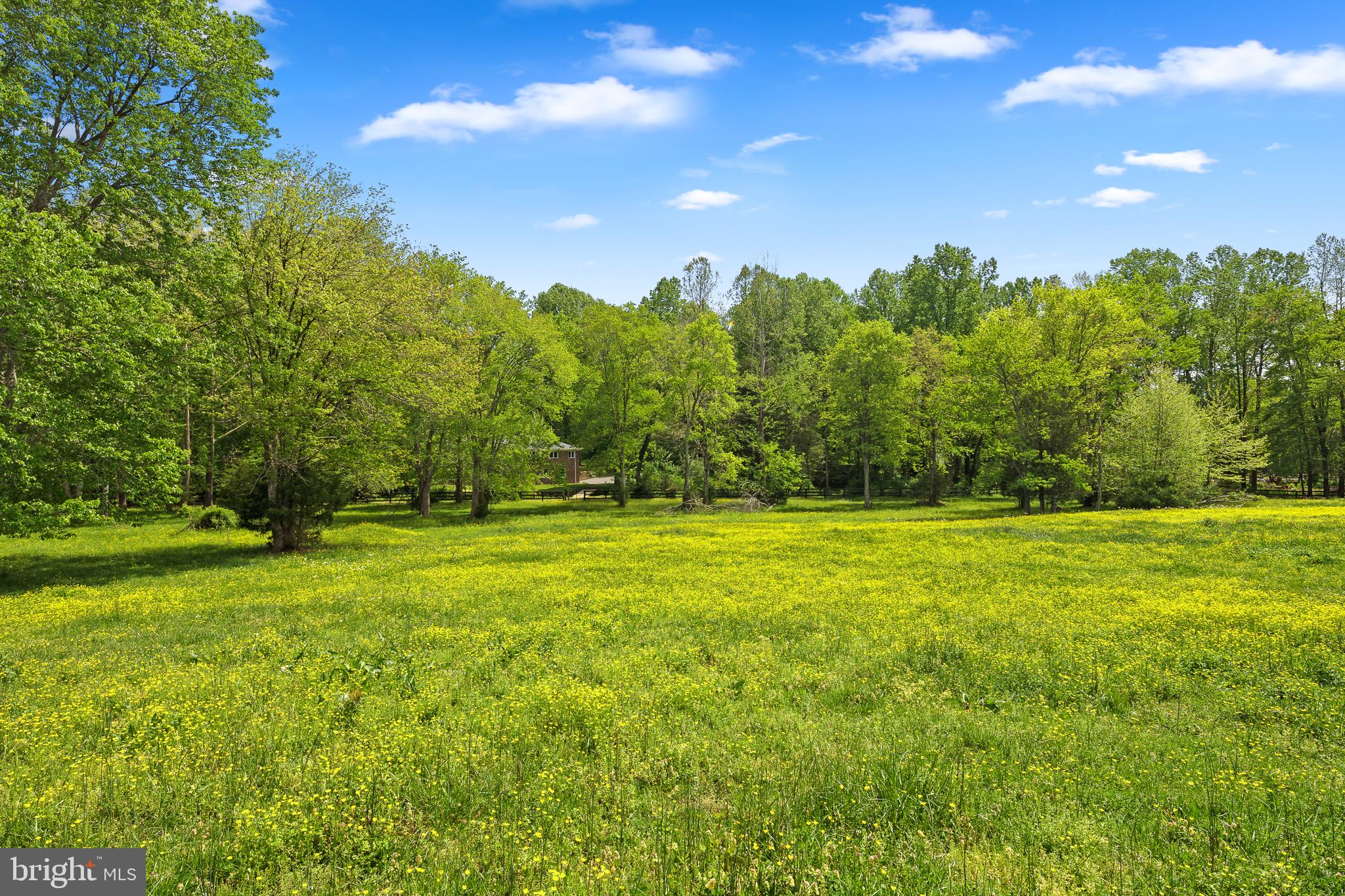 7432 Clifton Road Clifton, VA 20124 - Photo 6 of 6 Acres & Acres of Pastures & Paddocks