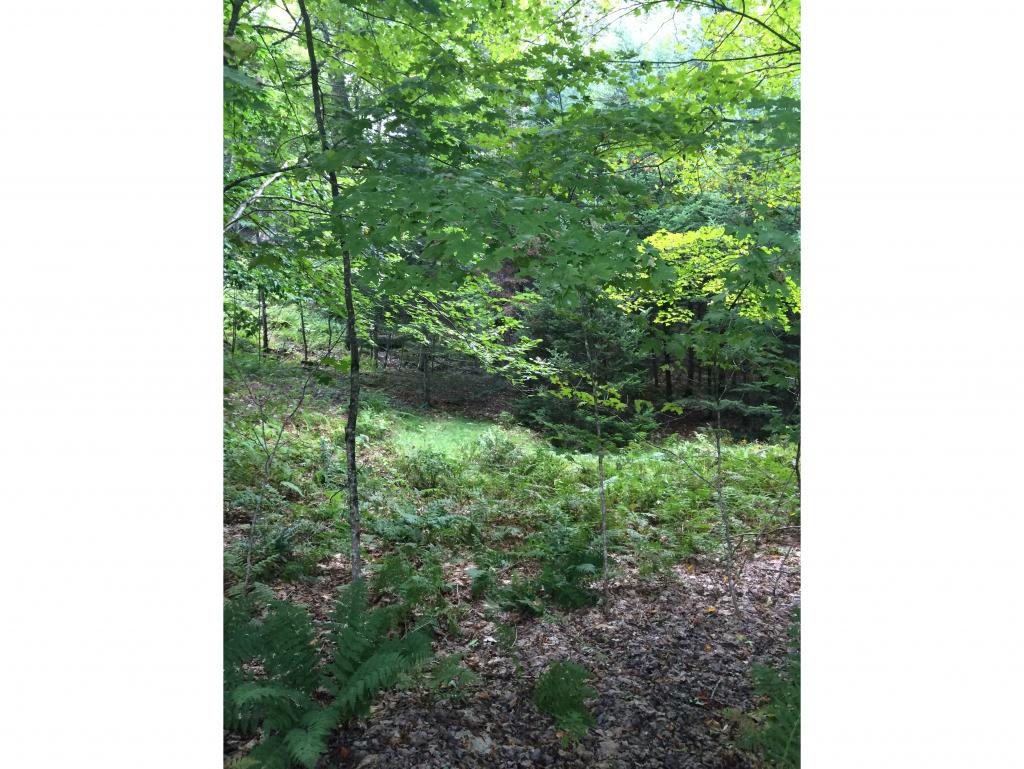 10 Williams Road Littleton, NH 03561 - Photo 2 of 19