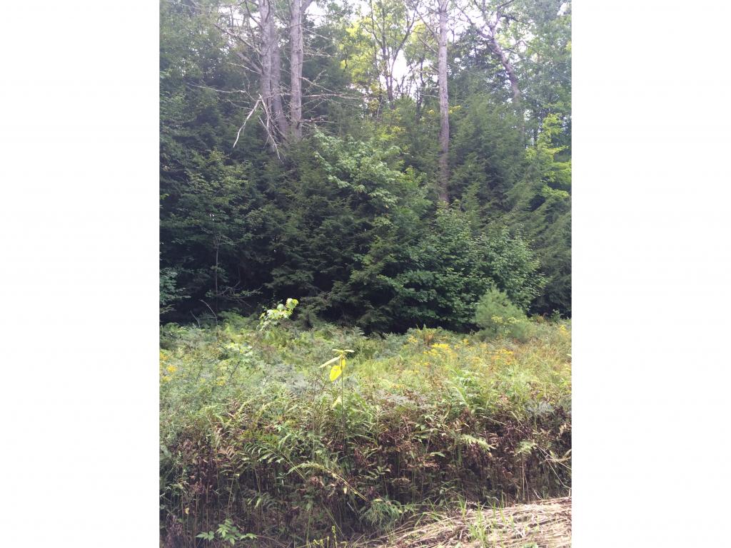 10 Williams Road Littleton, NH 03561 - Photo 12 of 19