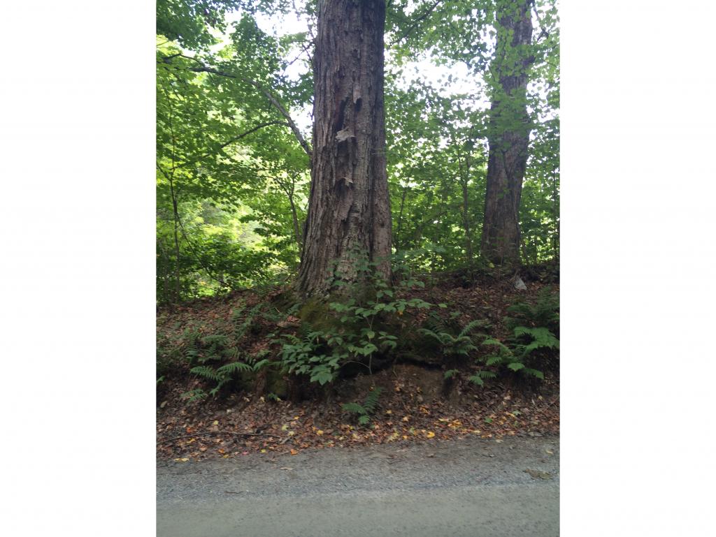10 Williams Road Littleton, NH 03561 - Photo 10 of 19