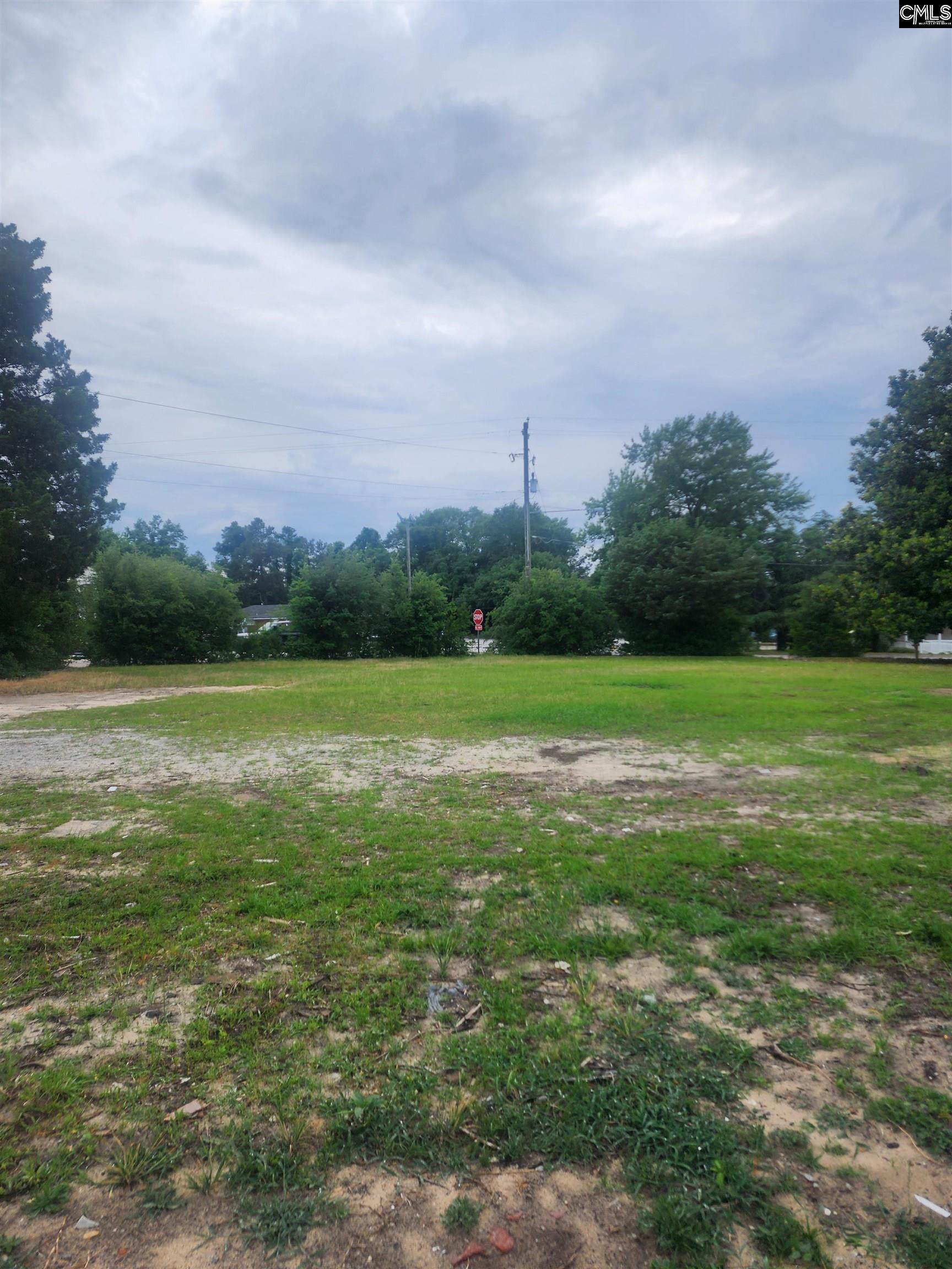 2418 Campbell Street Elgin, SC 29045 - Photo 5 of 5
