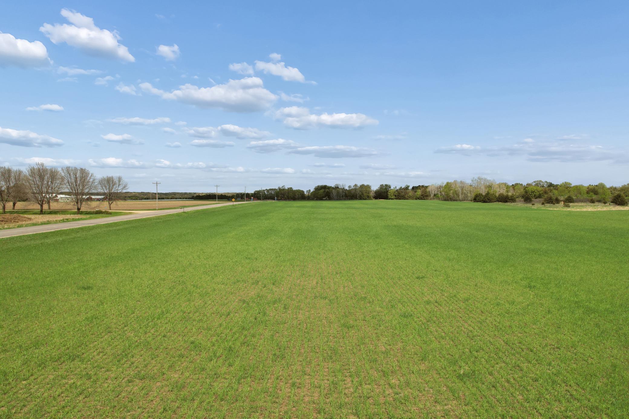 4 Of Sw1/4 Acres Located In Section 23 Jordan, MN 55352 - Photo 4 of 20