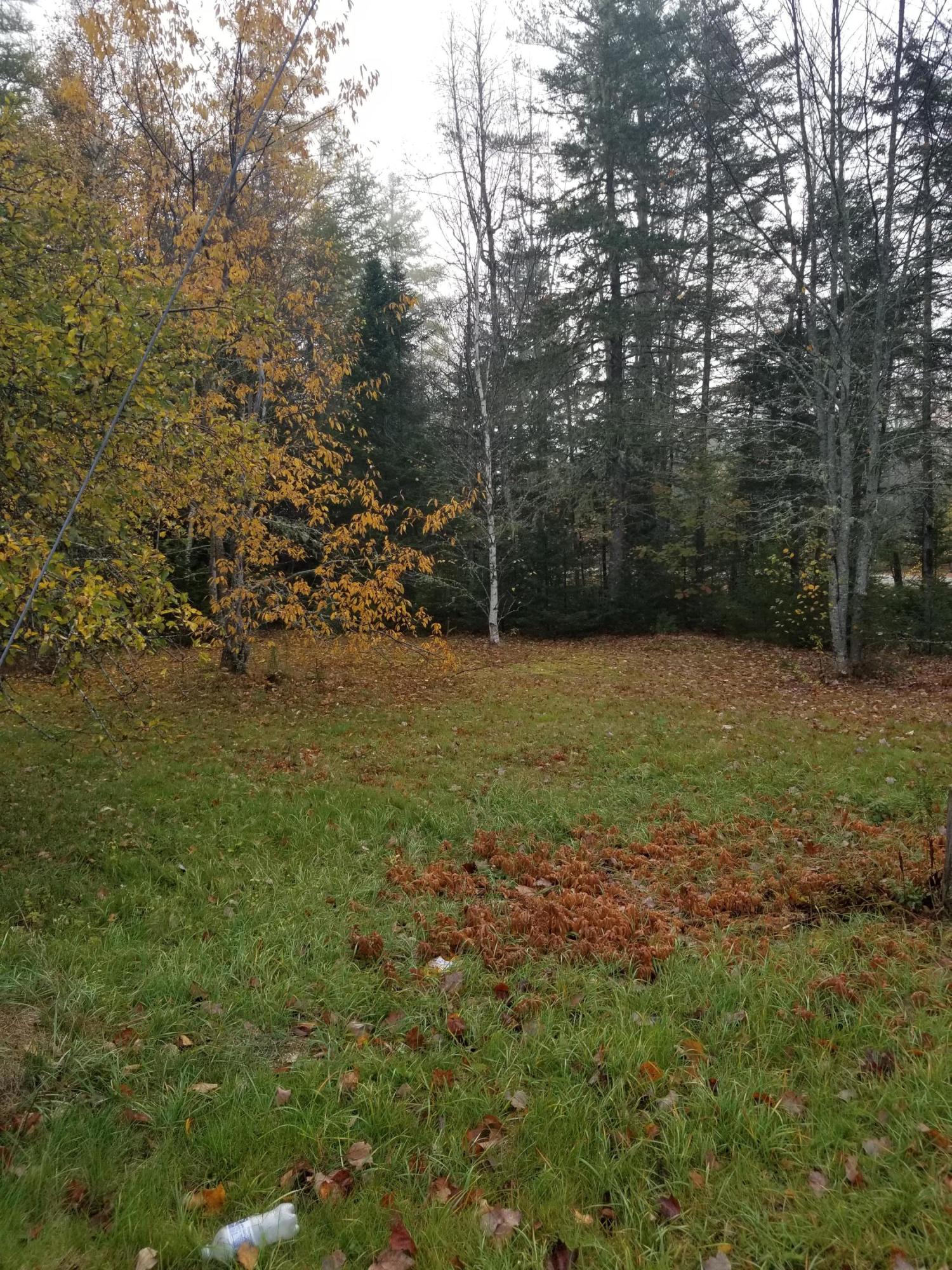 521 Crawford Arm Road Crawford, ME 04694 - Photo 6 of 21 20201020_084253