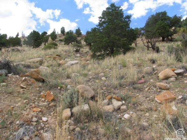 700 Spring Canyon Road Helper, UT 84526 - Photo 19 of 19 Sloping terrain featuring natural rock formations and varied vegetation, including mature evergreen trees and dry grasses
