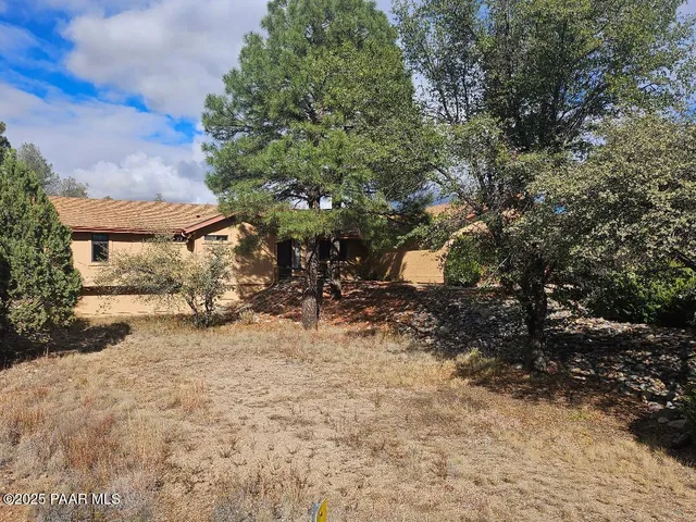 a view of a yard with plants and trees