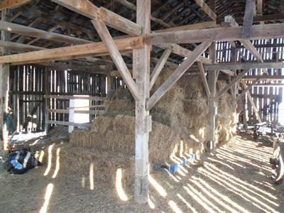 2384 Locust Grove Road Carlisle, KY 40311 - Photo 19 of 25 Photo 19