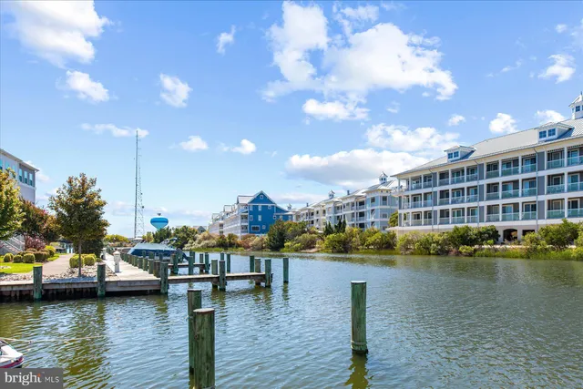 a view of ocean with boats and trees in the background