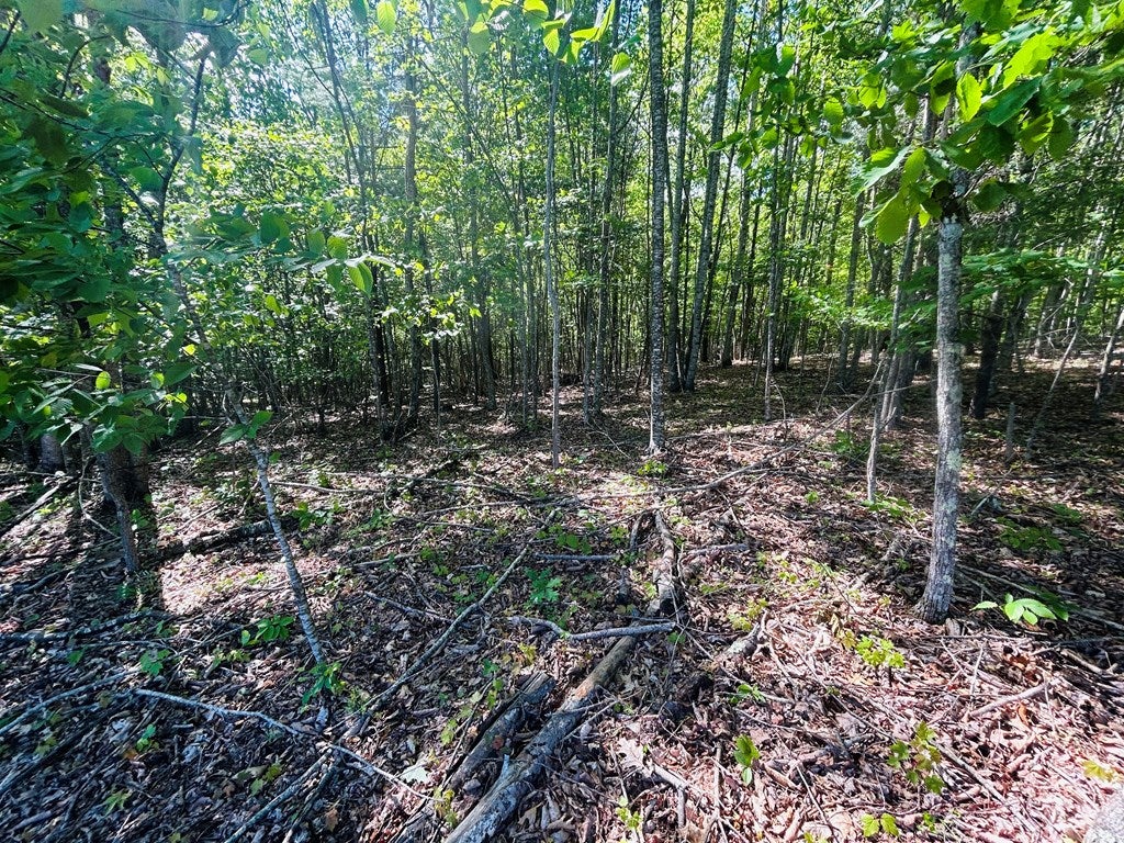 Tbd Pipers Gap Road Galax, VA 24333 - Photo 20 of 21 Gallery Image 20