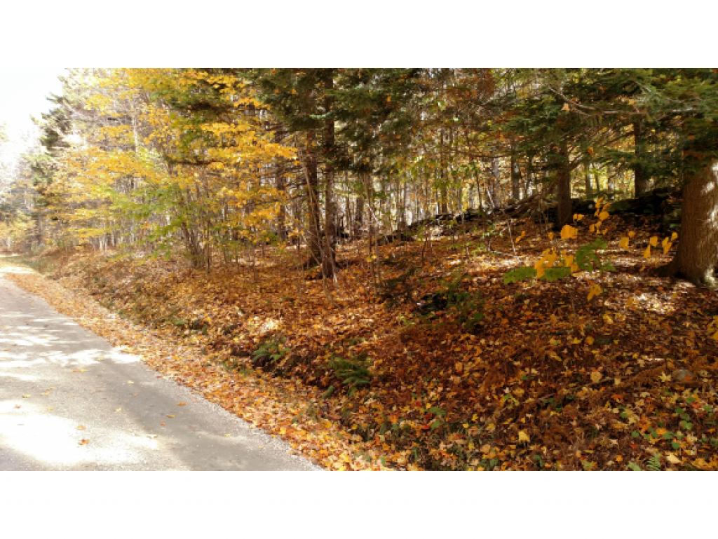 4 Stevens Road Bridgewater, VT 05035 - Photo 1 of 12