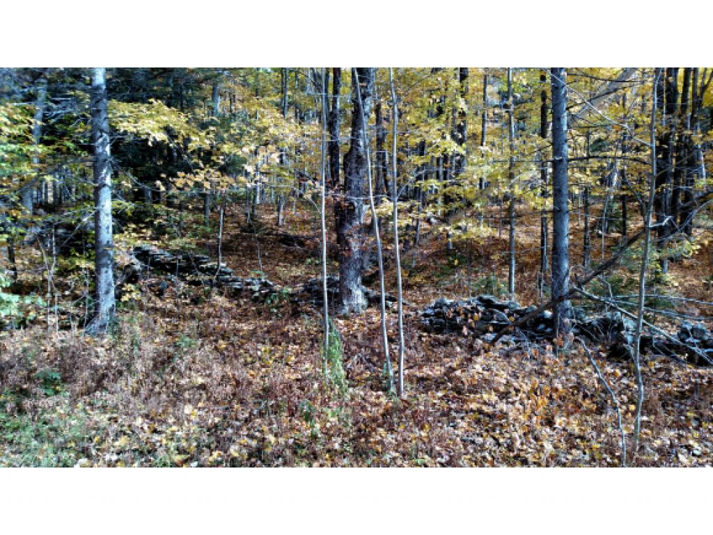 4 Stevens Road Bridgewater, VT 05035 - Photo 4 of 12