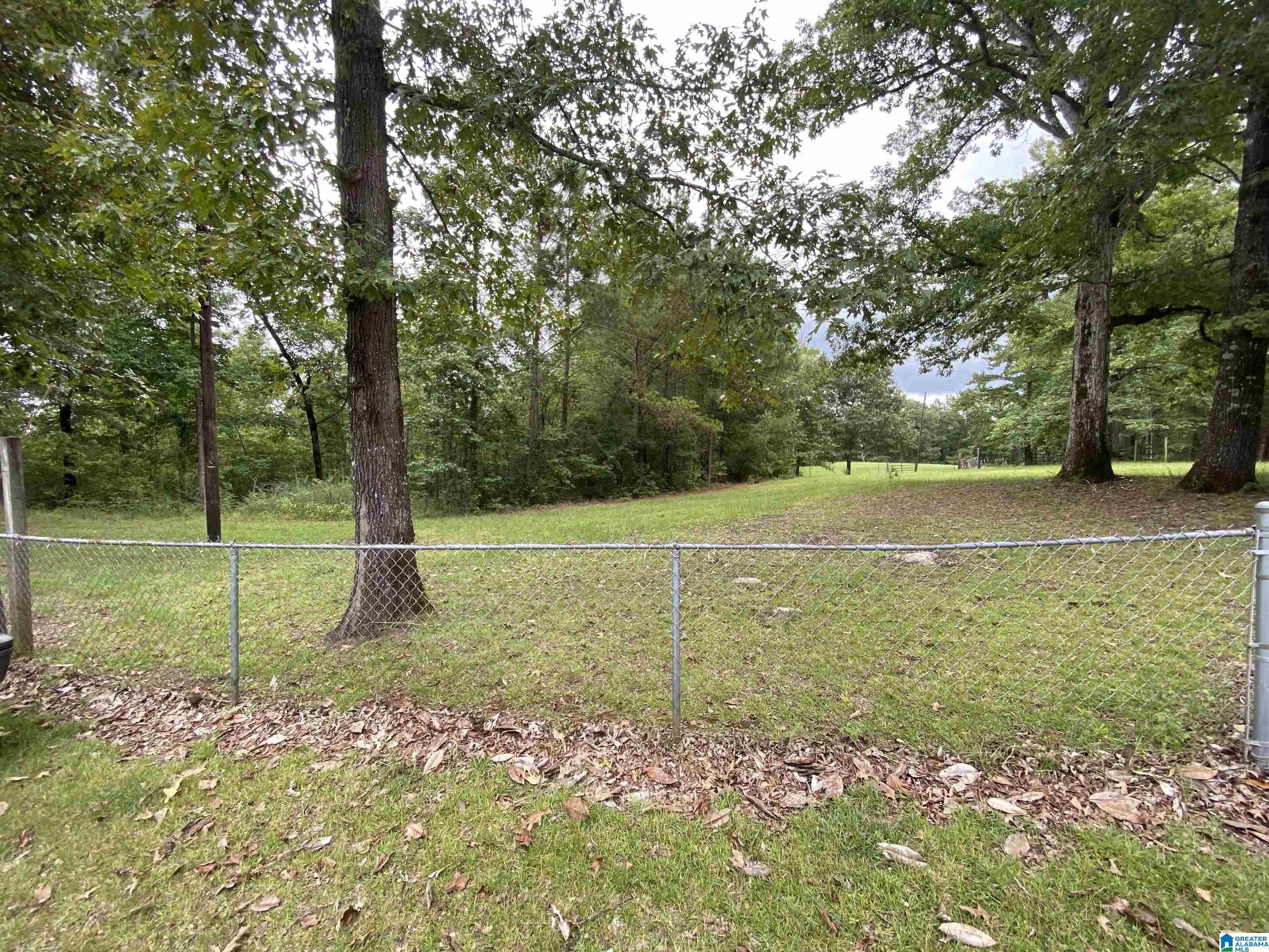 2625 Big Springs Road West Blocton, AL 35184 - Photo 35 of 41