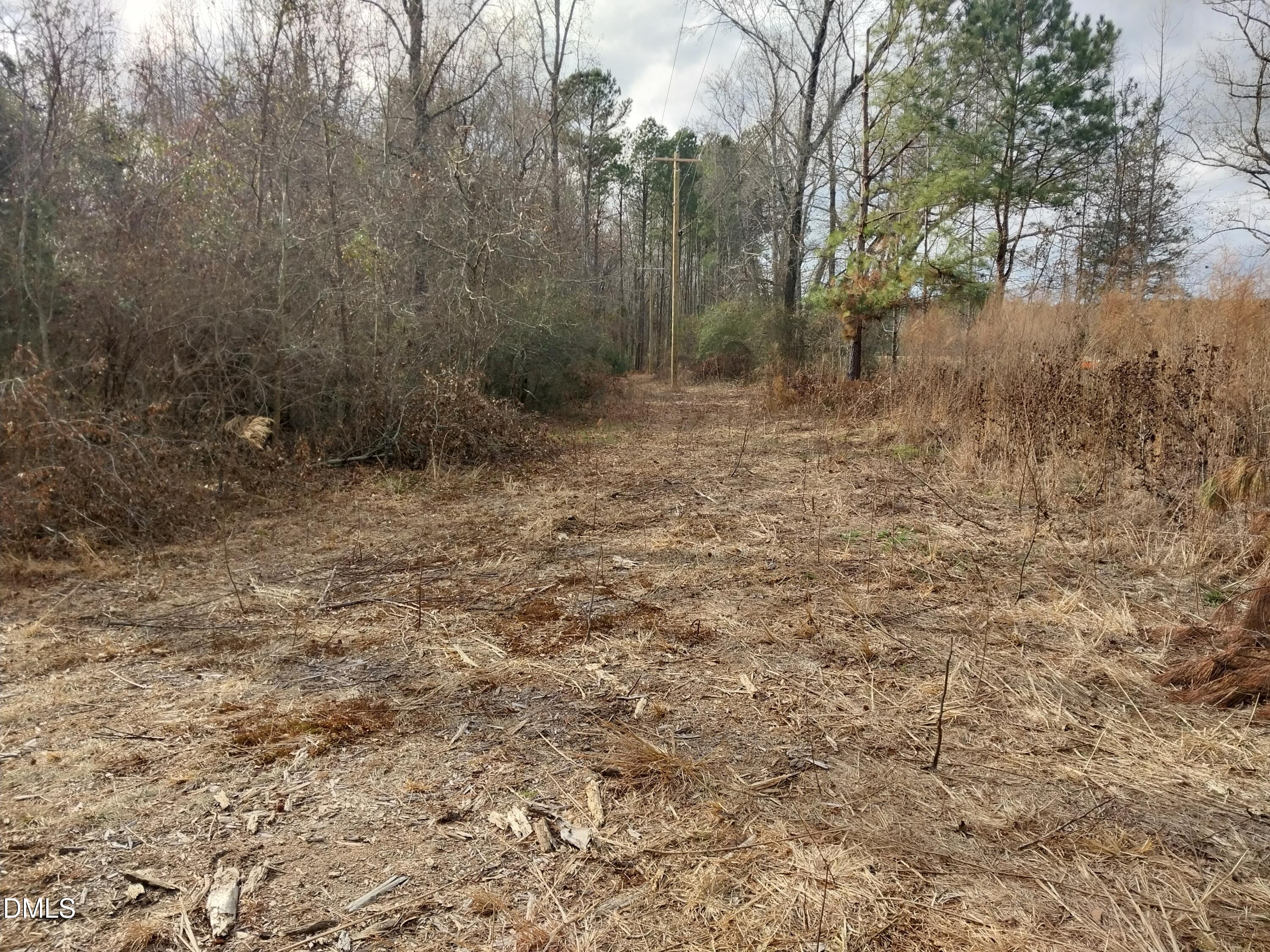 6741 Wimberly Road Willow Spring, NC 27592 - Photo 11 of 11 a view of a dry yard with trees