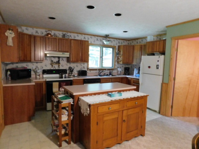 9834 Dutch John Road Fife Lake, MI 49633 - Photo 16 of 43 1878107-15.JPG