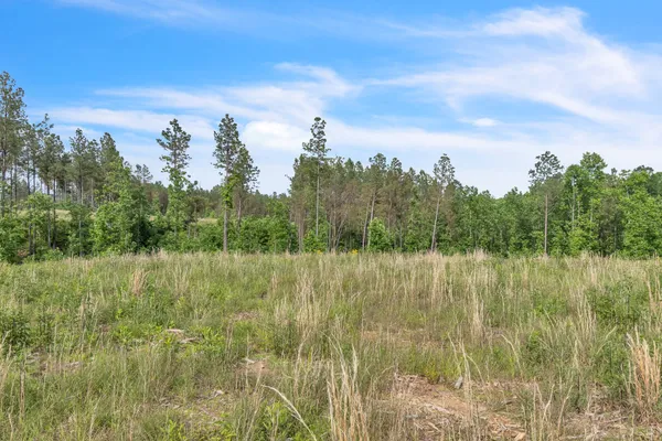 a view of a lake with green trees in the background