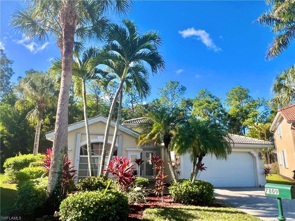 7809 Stratford Drive Naples, FL 34104 - Photo 42 of 47 a palm tree sitting in front of a house