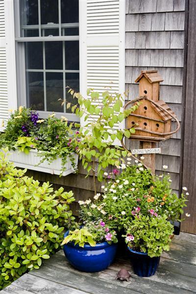 325 Silver Spring Beach Road Eastham, MA 02642 - Photo 3 of 9 Additional Photo