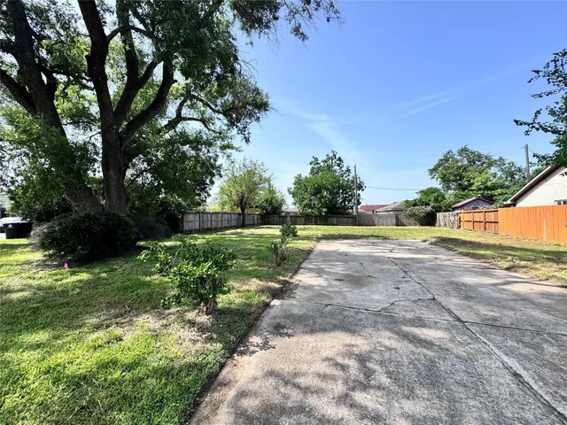 a view of a yard with plants and a large tree