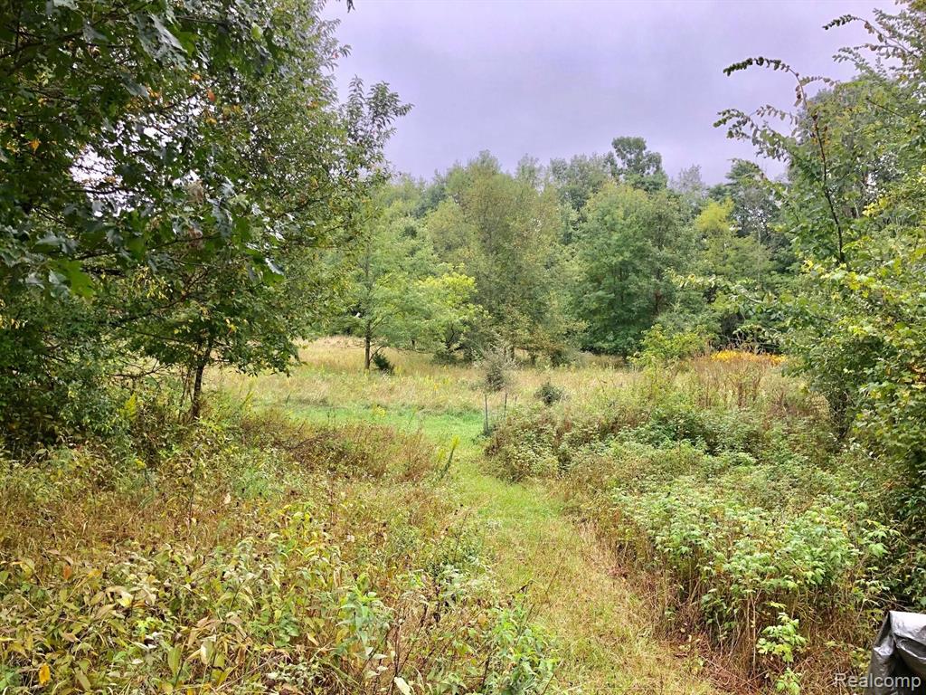 4570 Blood Road Metamora, MI 48455 - Photo 15 of 33 Gallery Image 15