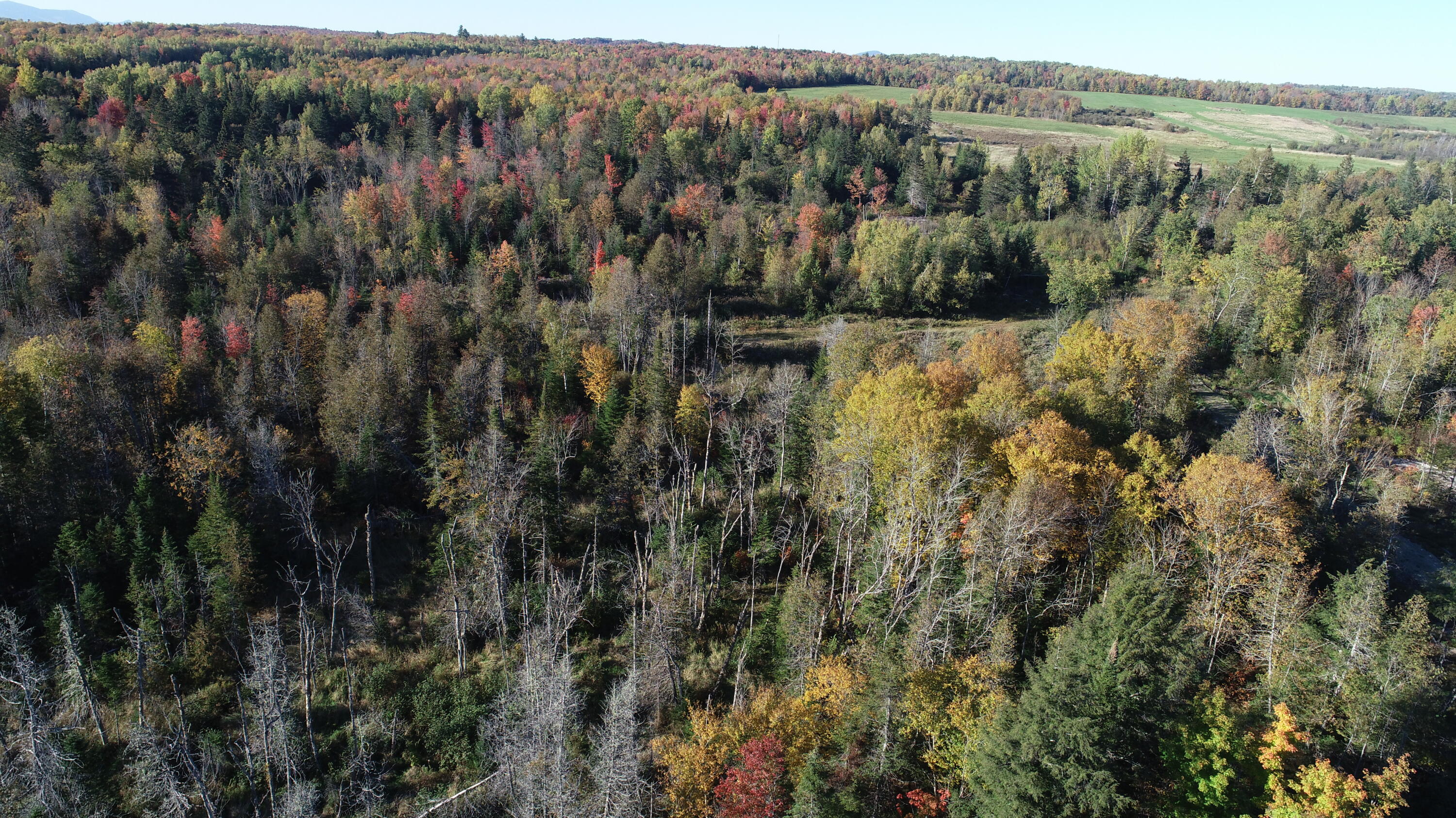 715 Benedicta Road Benedicta, ME 04733 - Photo 4 of 31 DJI_0054