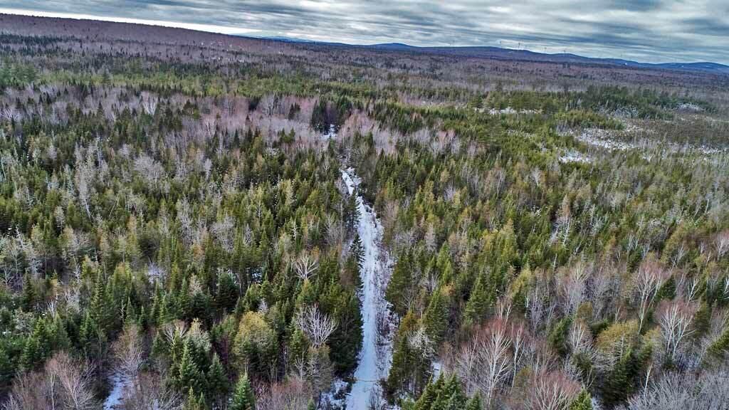 Lot 57 Fire Road Linneus, ME 04730 - Photo 20 of 25 linneus-me-waterfront-land