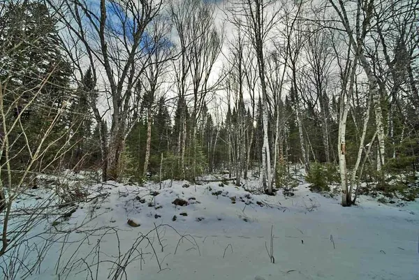 $269,500 | Lot 57 Fire Road, Linneus, ME 04730