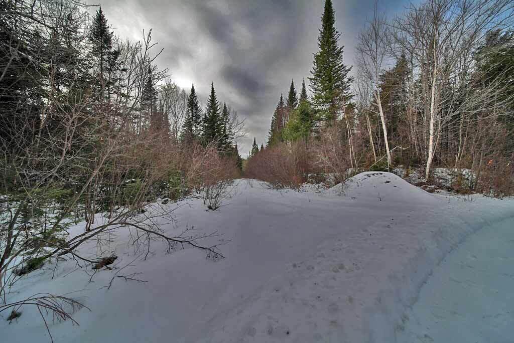 Lot 57 Fire Road Linneus, ME 04730 - Photo 23 of 25 road-access-me-land