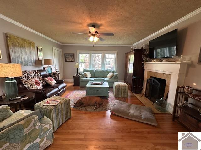 705 West Locust Street Princeton, KY 42445 - Photo 13 of 34 Photo 13