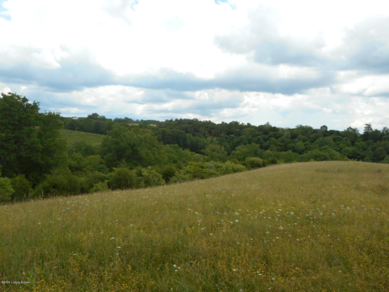 2010 Hickory Ridge Road Mount Eden, KY 40046 - Photo 48 of 65 DSCN3460