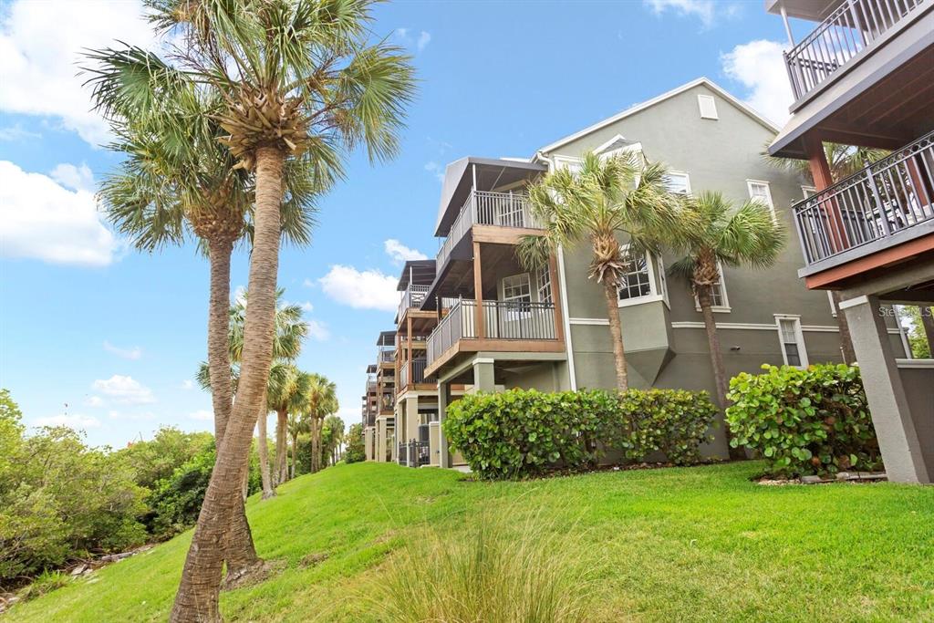 1450 Harbour Walk Road Tampa, FL 33602 - Photo 19 of 26 a view of a house with a yard
