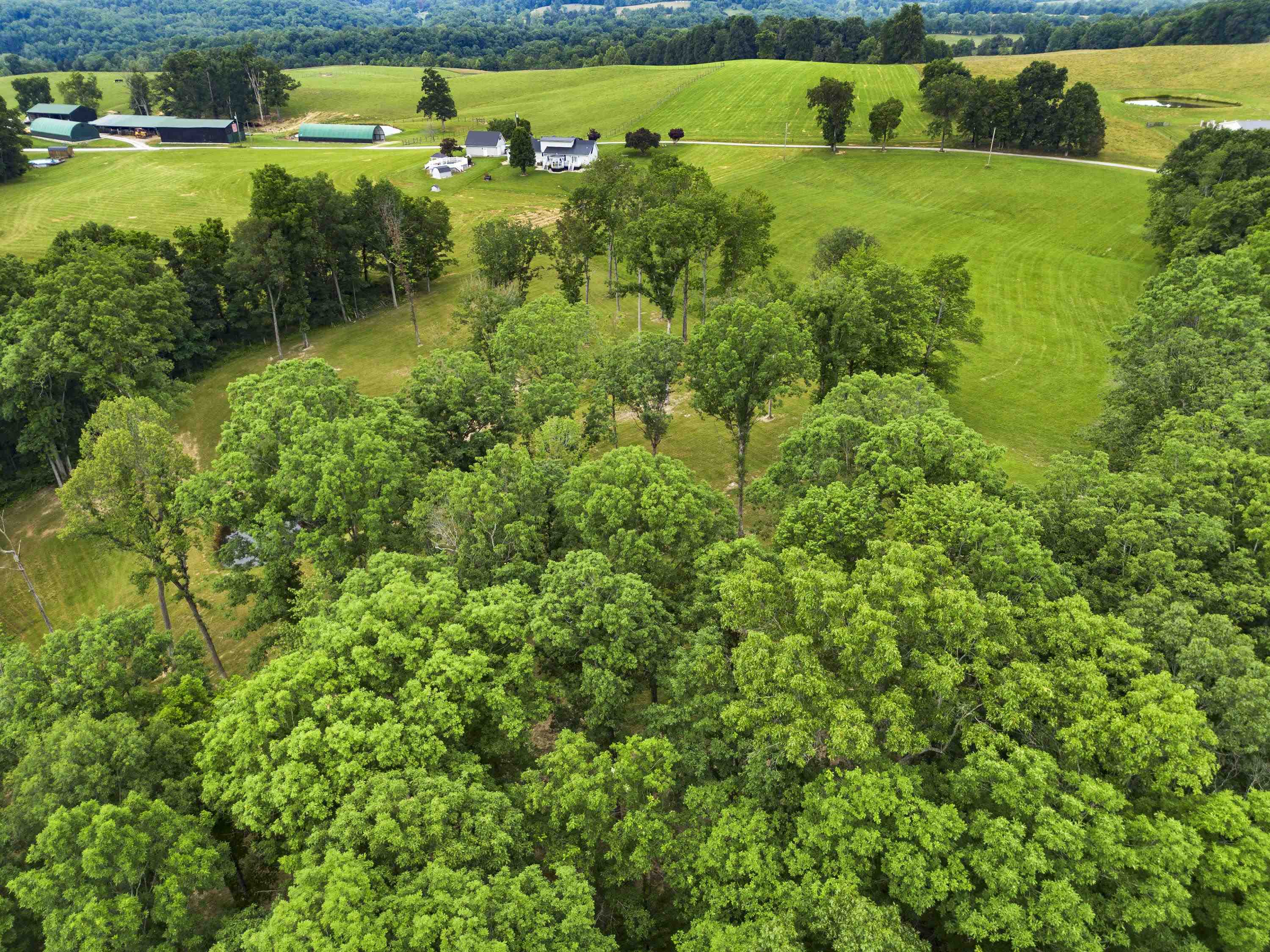 0 Salem Road Grayson, KY 41143 - Photo 10 of 25