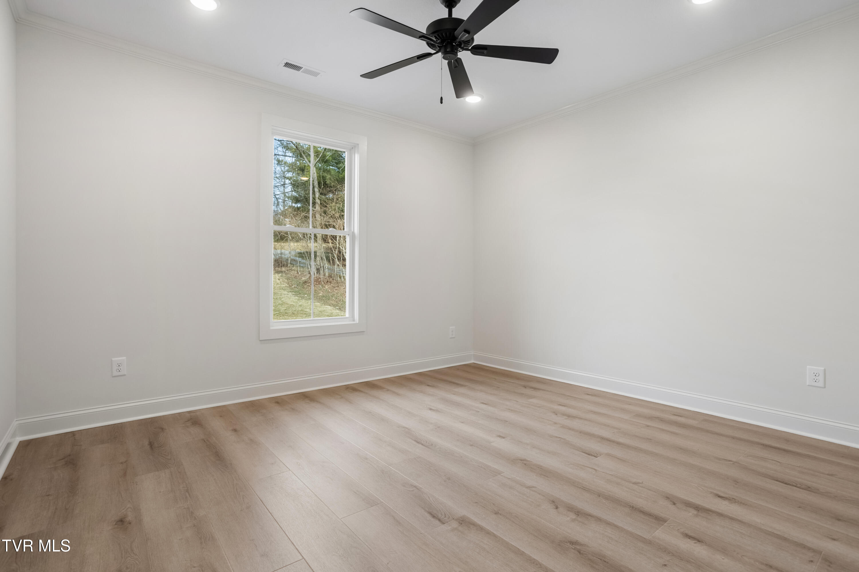 826 Hairetown Road Jonesborough, TN 37659 - Photo 13 of 37 Bedroom 1