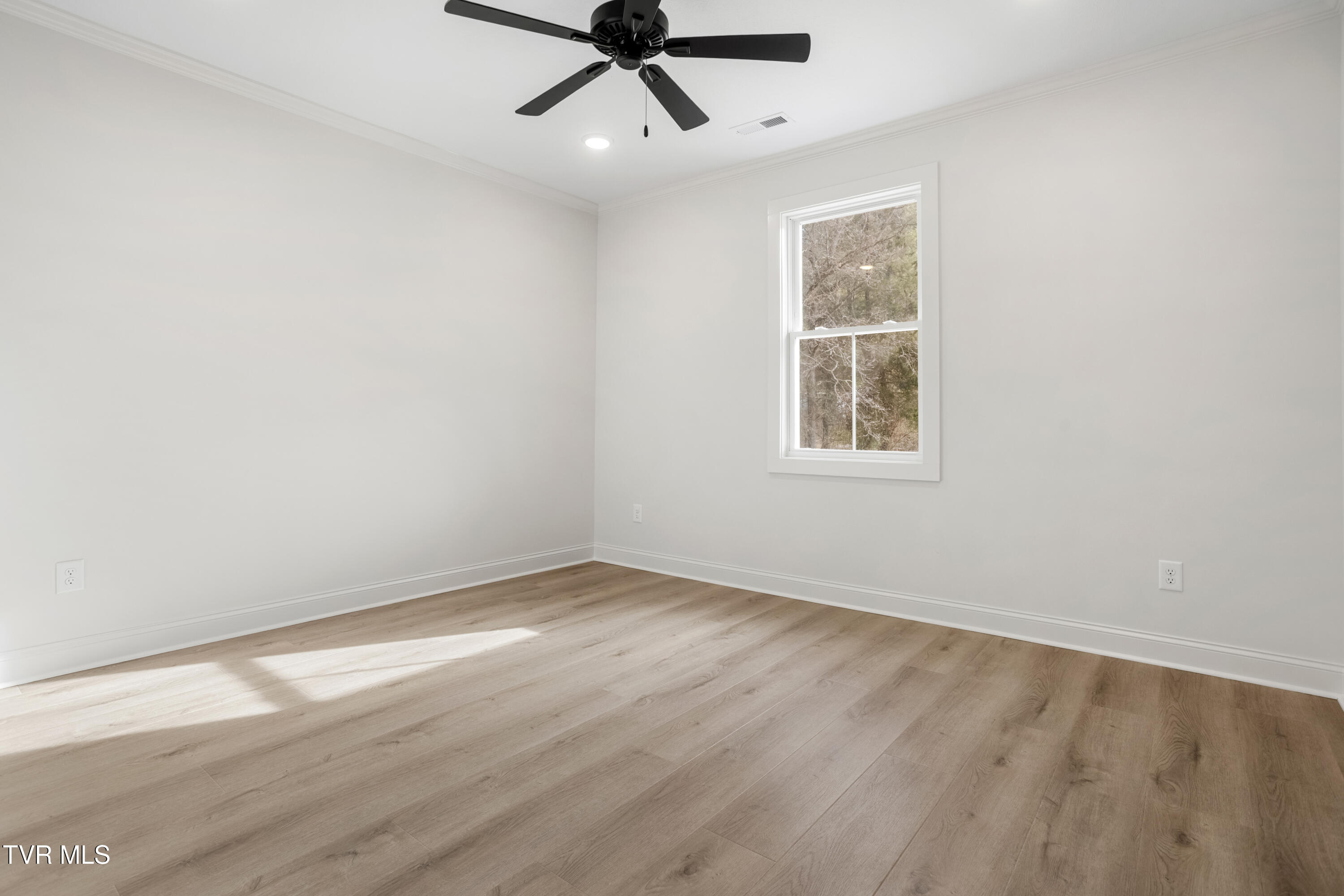 826 Hairetown Road Jonesborough, TN 37659 - Photo 19 of 37 Bedroom 2