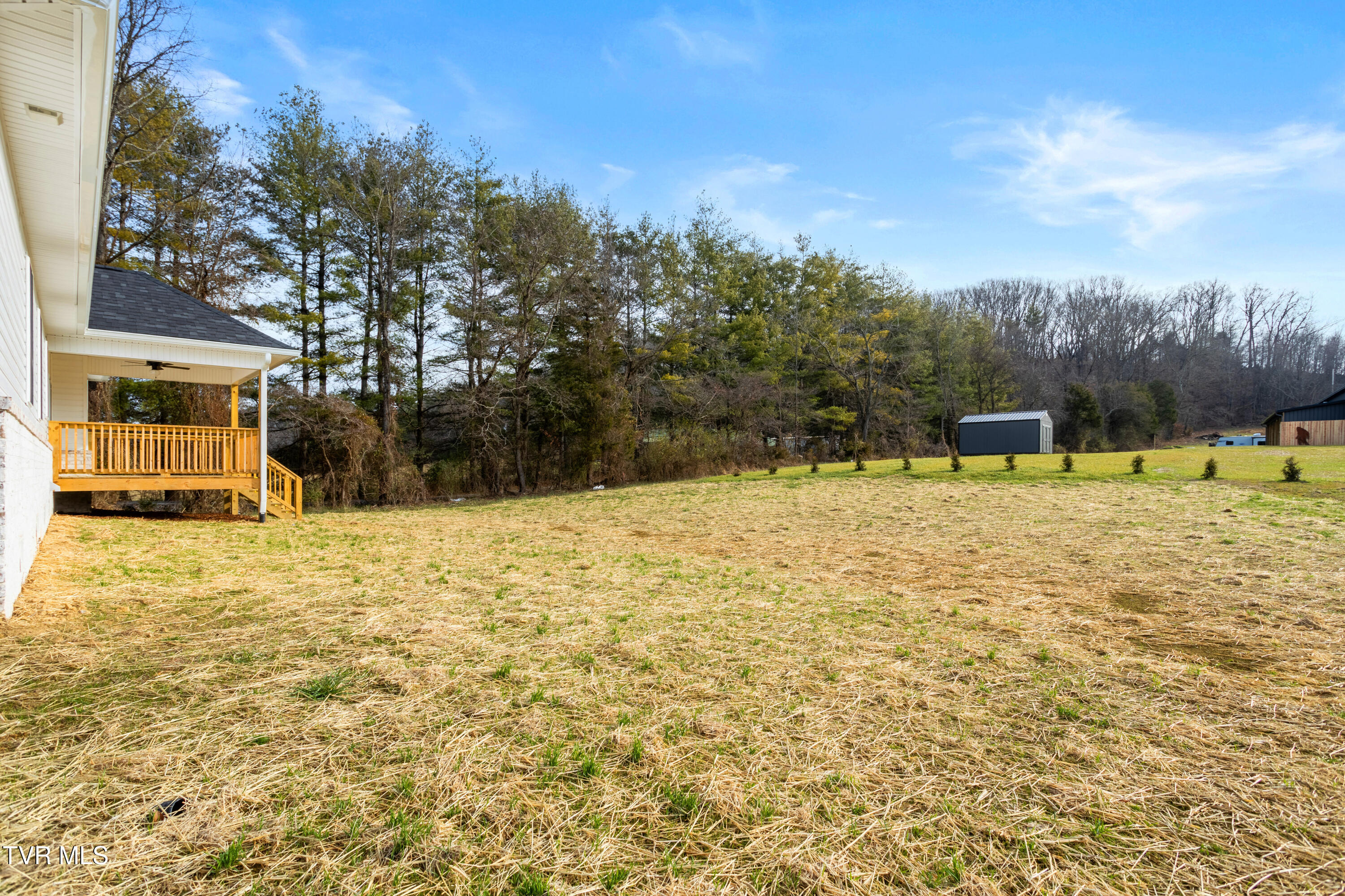 826 Hairetown Road Jonesborough, TN 37659 - Photo 34 of 37 Back Yard