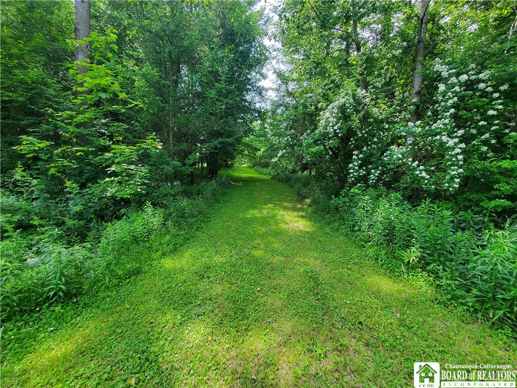 0 Cash Road Ischua, NY 14743 - Photo 1 of 1 Gallery Image 1