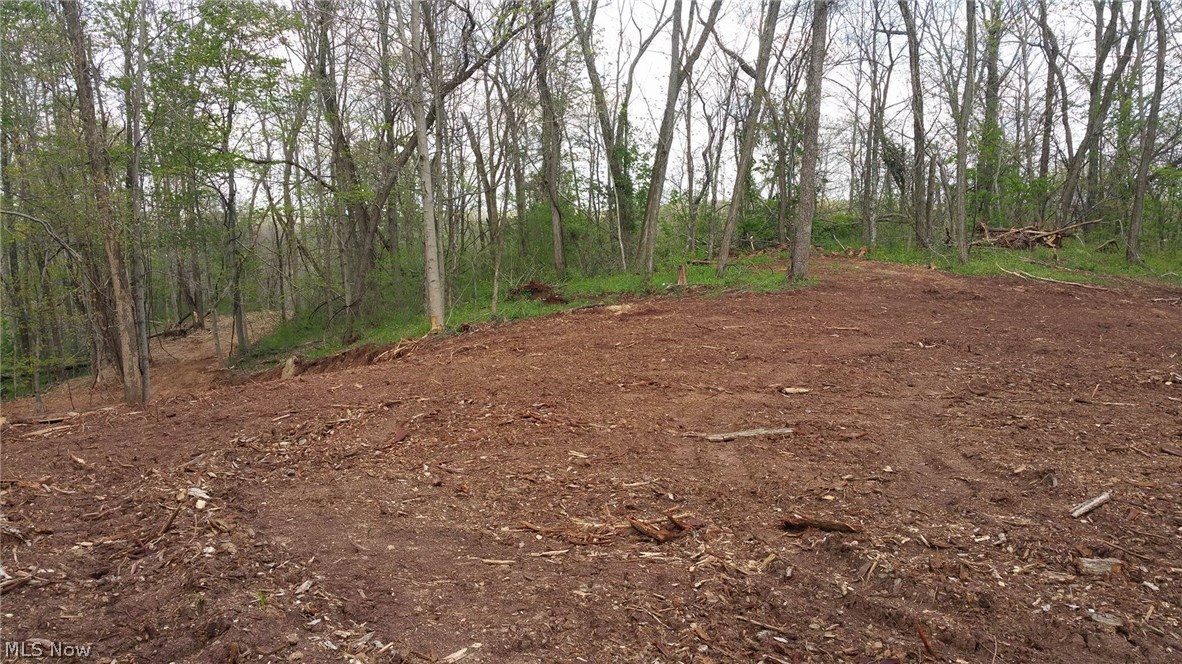 Thompson Ridge Road Athens, OH 45701 - Photo 10 of 10