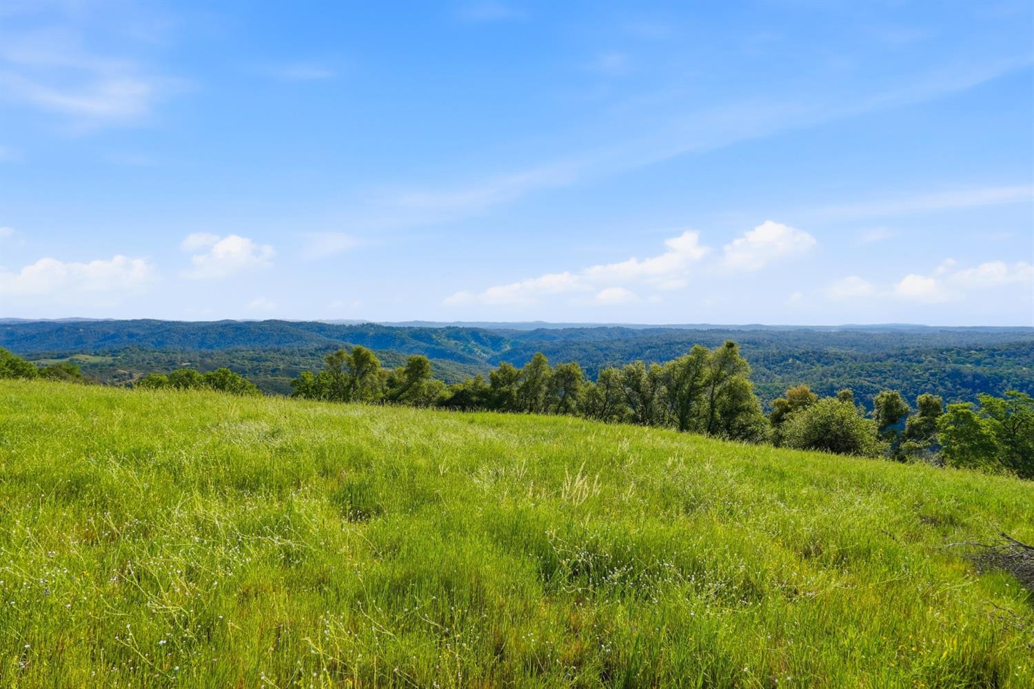 6711 Monitor Road El Dorado, CA 95623 - Photo 23 of 29