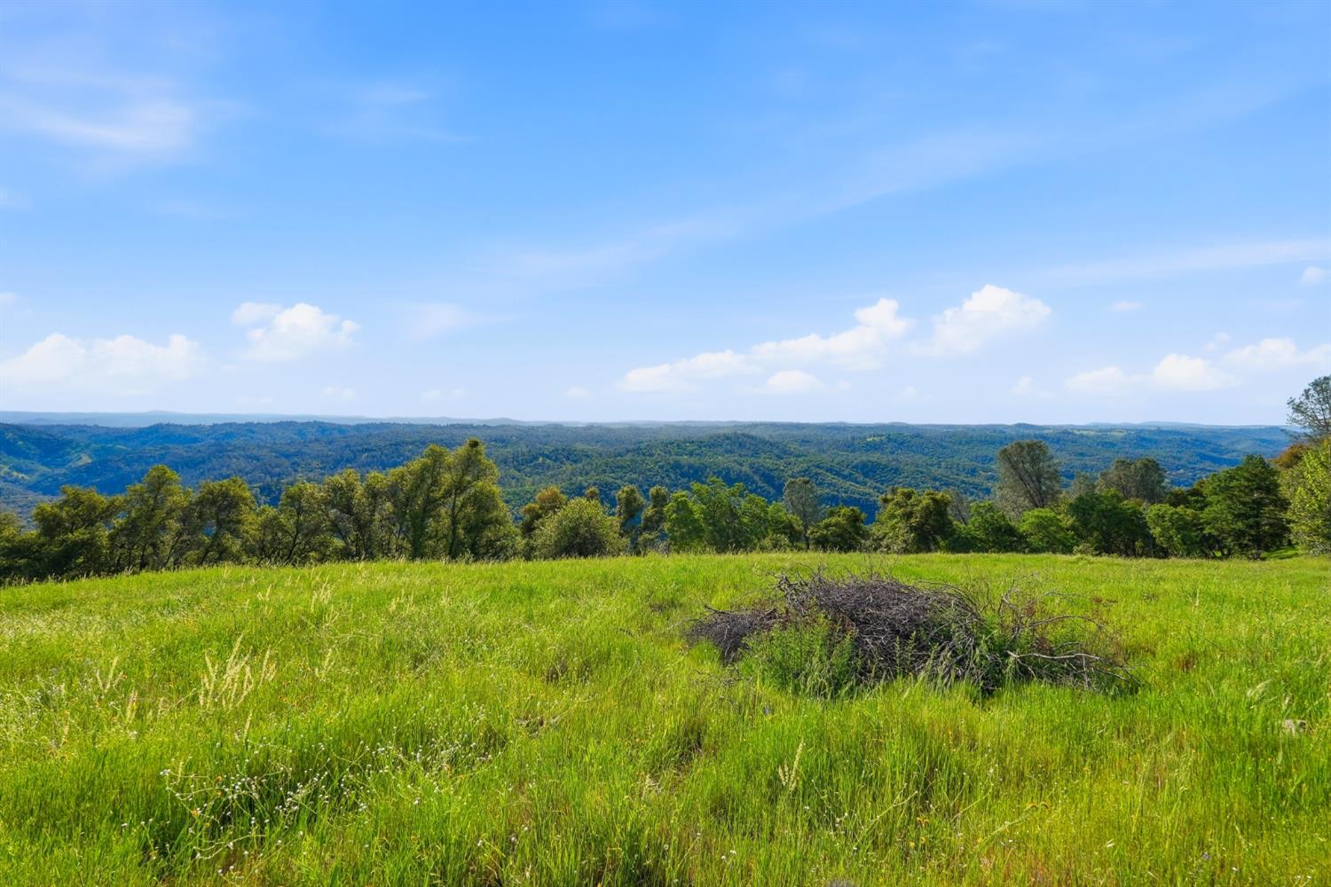 6711 Monitor Road El Dorado, CA 95623 - Photo 24 of 29
