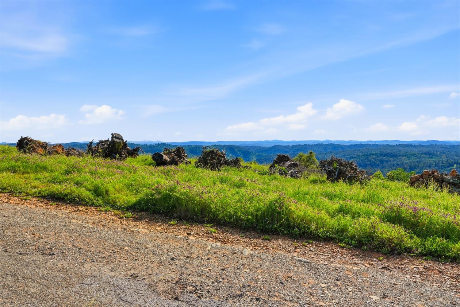 6711 Monitor Road El Dorado, CA 95623 - Photo 25 of 29