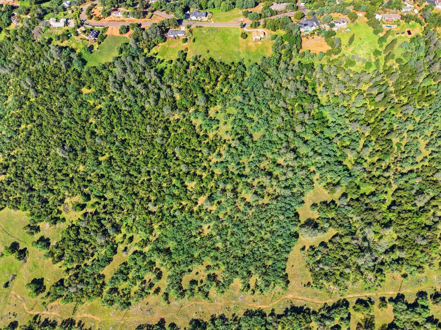 6711 Monitor Road El Dorado, CA 95623 - Photo 8 of 29