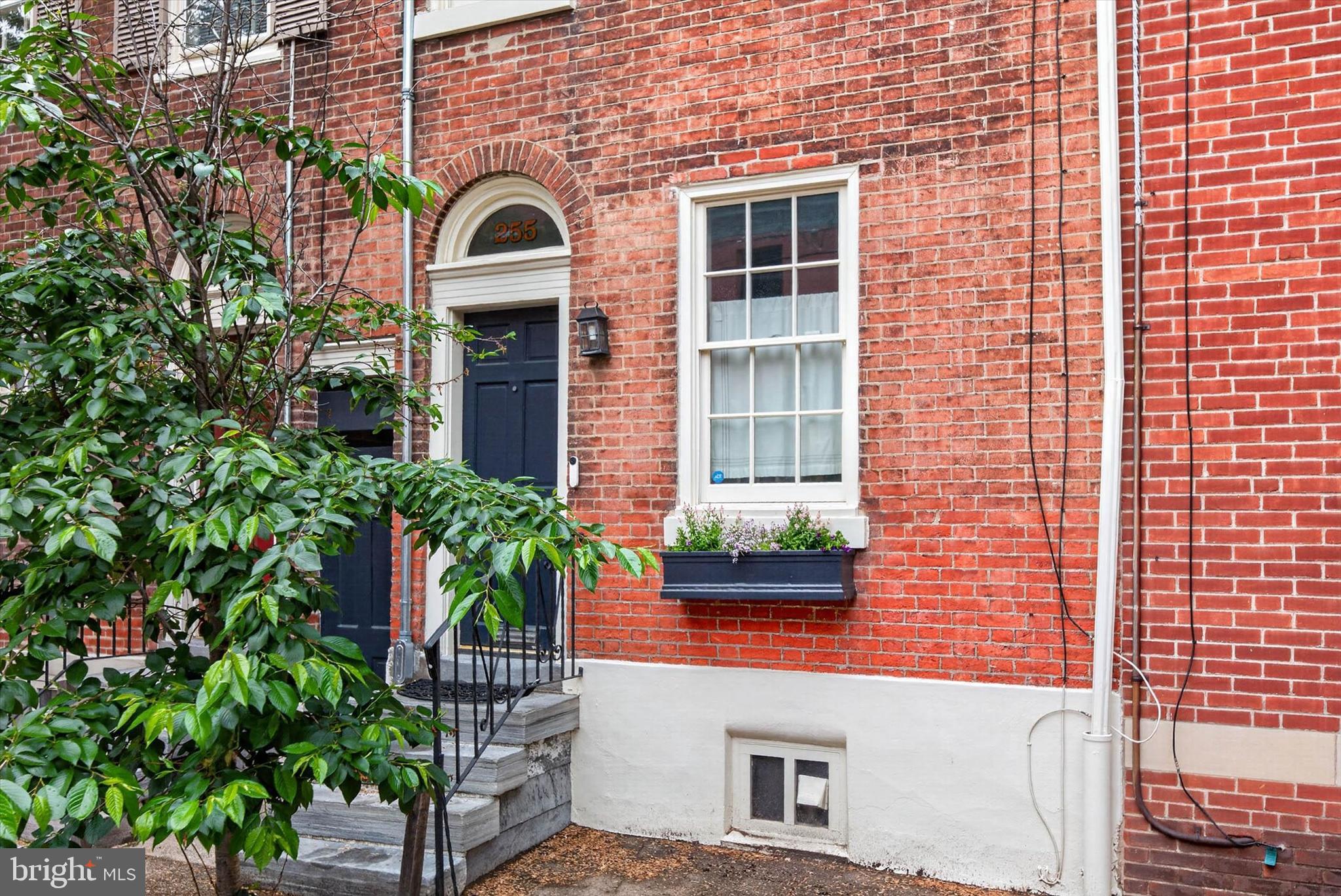 255 Queen Street Philadelphia, PA 19147 - Photo 3 of 5 One of the BEST Locations in Queen Village