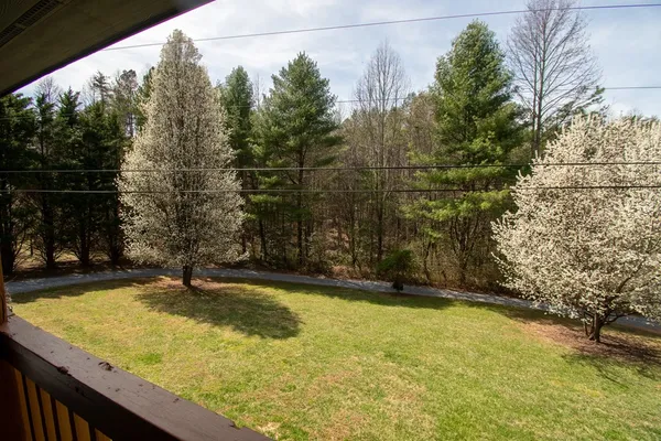 a view of a swimming pool with an outdoor space
