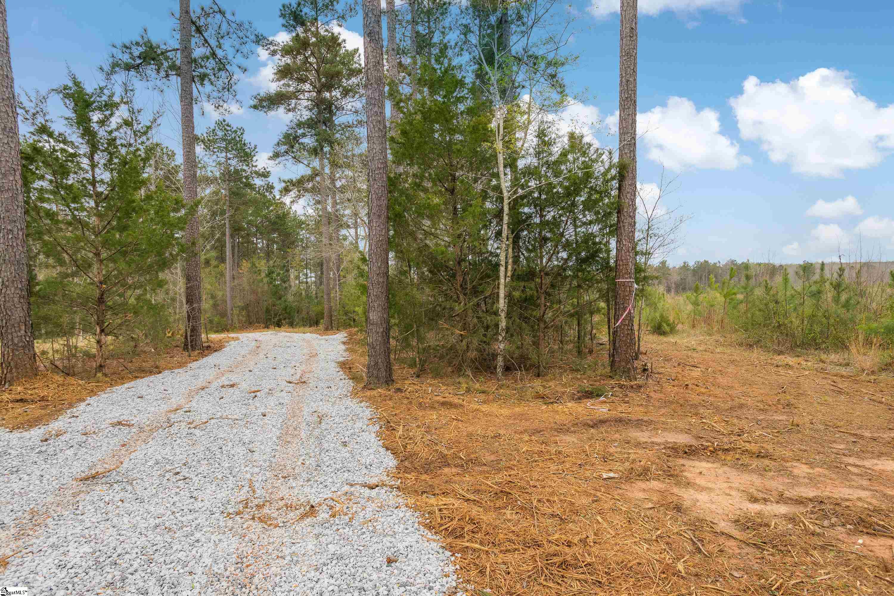 0 Lake Road, Unit LOT 6 Clinton, SC 29325 - Photo 5 of 24